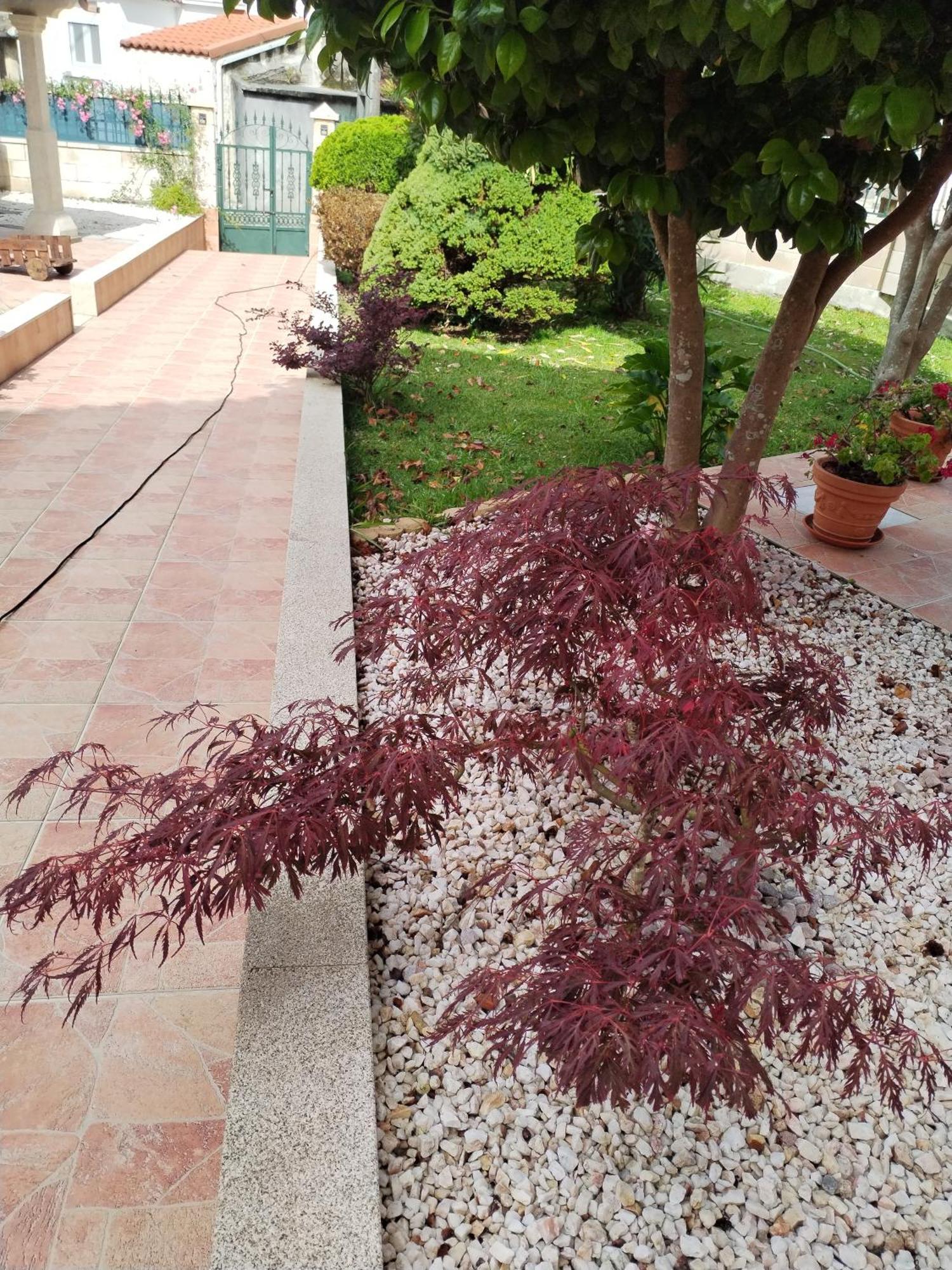 Casa Lopez Βίλα Carnota Εξωτερικό φωτογραφία